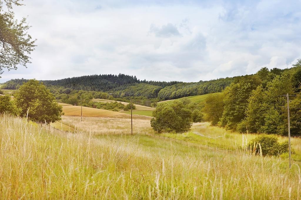 Landhotel Lembergblick Feilbingert Exteriér fotografie
