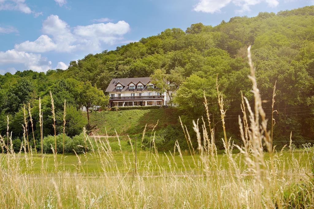 Landhotel Lembergblick Feilbingert Exteriér fotografie